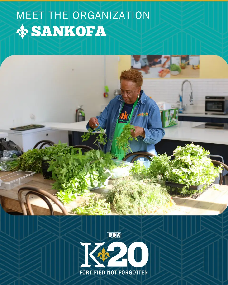 Meet the Organization - Sankofa
